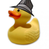 @Ducks@lemmy.world avatar