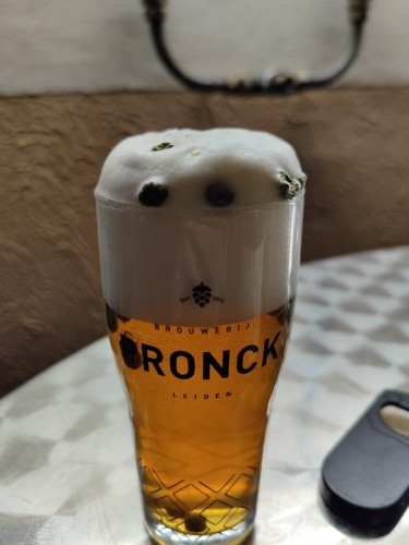 Beer with a thick head of foam in which hop pellets float around