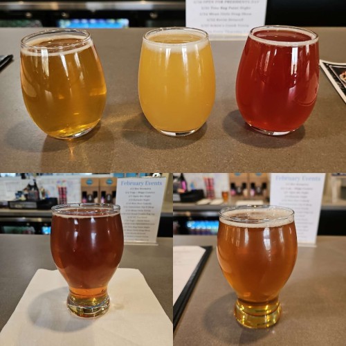 In the top half of the image are three 5 oz pours filled with beer.  Bottom half has 2 images, each of a 16oz glass filled with beer. 